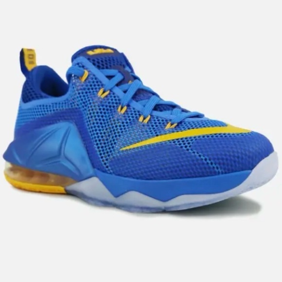 2014 Nike LeBron 12 Low GS 'Entourage'Nike Sneakers 10.5